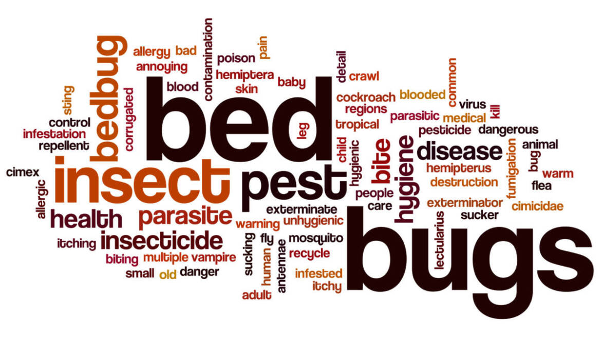 Compare BedBug Treatments