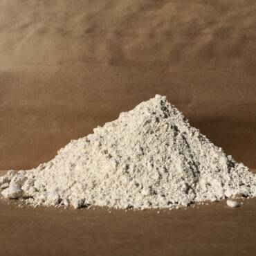 What You Need to Know About Diatomaceous Earth