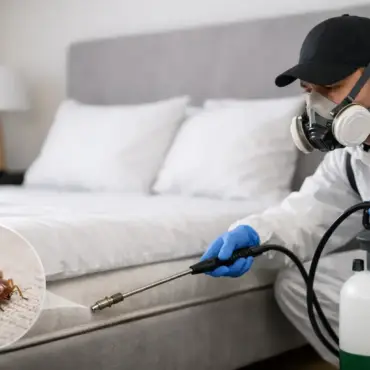 Residential Bed Bug Treatment That Works